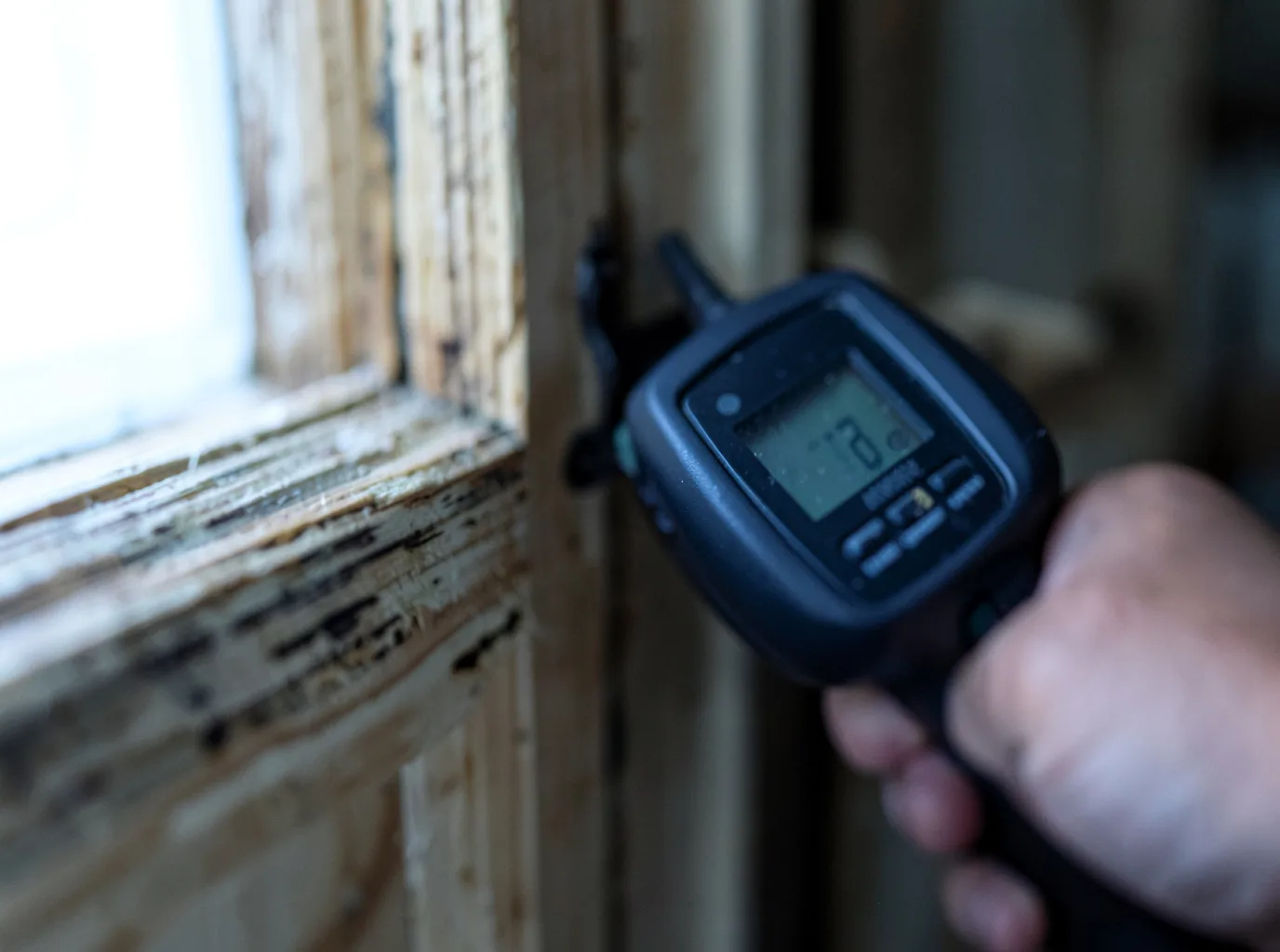 Commercial Water Damage Restoration in Paragon, IN